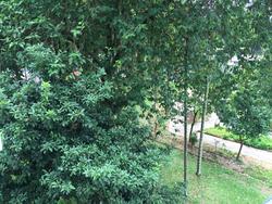 Blk 837 Woodlands Street 82 (Woodlands), HDB Executive #147863852